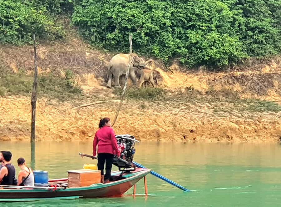 Krabi: Cheow Lan Lake, Diamond Cave, Hiking, All Included - Khao Sam Glur photo moment, swimming, and kayaking: how the lake time is balanced