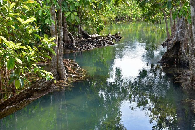 Krabi Countryside Eco Cycling Tour - Multiple Trails - Who Should Book This Eco Cycling Tour