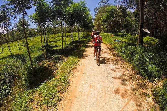 Krabi Countryside Eco Cycling Tour - Multiple Trails - Should You Book Krabi’s Countryside Eco Cycling Tour?