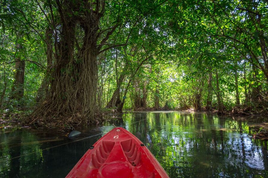 Krabi: Crystal Lagoon Kayaking and Horseback Riding Day Trip - Key highlights at a glance