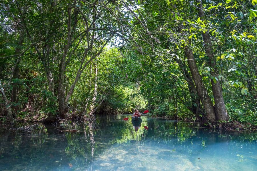 Krabi: Crystal Lagoon Kayaking and Horseback Riding Day Trip - Crystal Lagoon kayaking in Krabi: emerald water, jungle birds, and a real dip