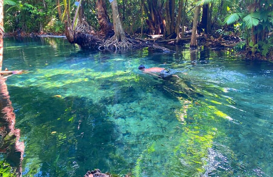Krabi: Crystal Lagoon Kayaking and Horseback Riding Day Trip - Lunch break in Krabi style: Thai flavors that actually fill you up