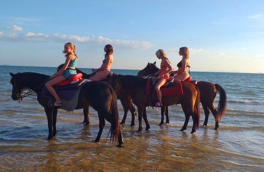 Krabi: Crystal Lagoon Kayaking and Horseback Riding Day Trip - The van ride and the Klong Nong Tale route: how the timing really works