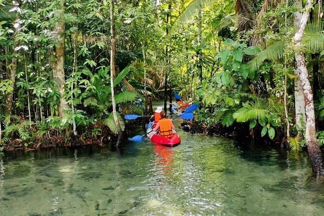 Krabi Crystal Lagoon Kayaking Experience - Who this Krabi kayak trip suits best