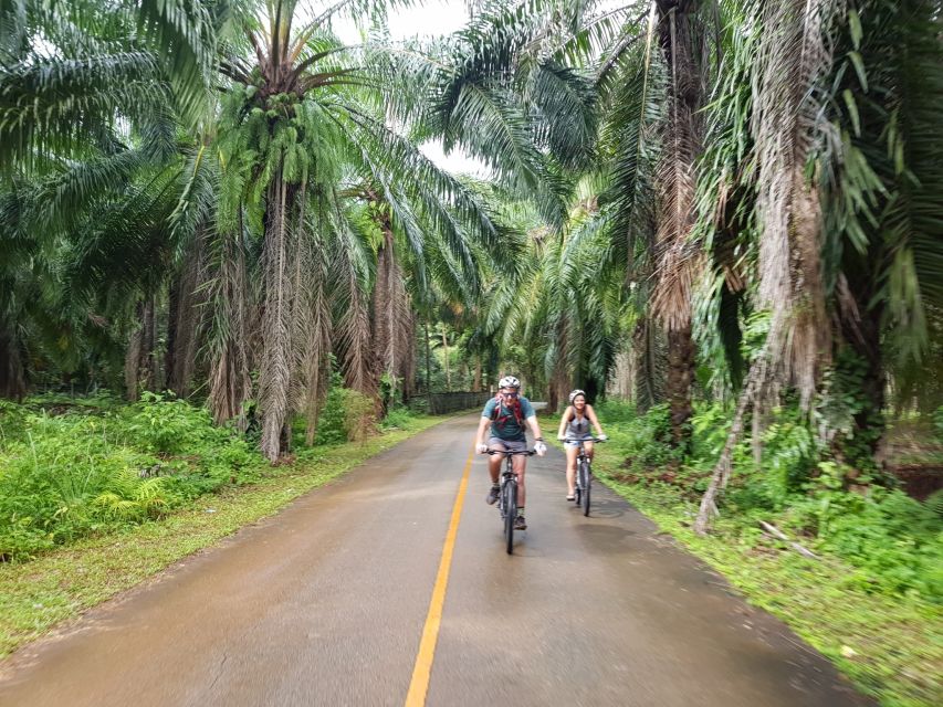 Krabi: Cycling Tour To Krabi - Market Stop Energy and Boat-Watching Without the Tourist Trap