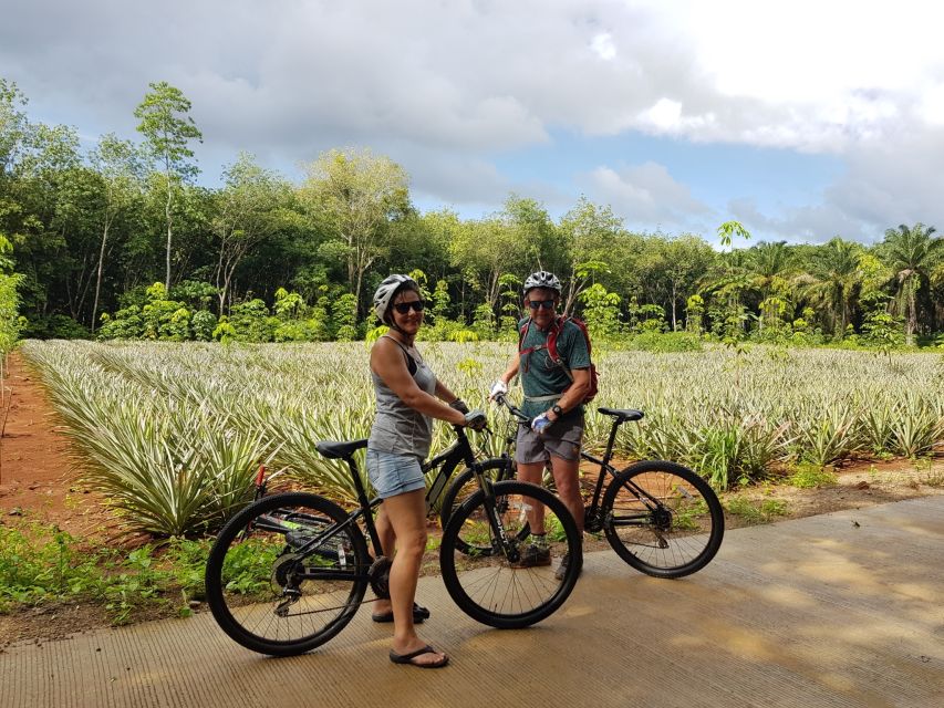 Krabi: Cycling Tour To Krabi - Temple Time: Buddhist Grounds, Primeval Forest Shade, and Big Rock Features