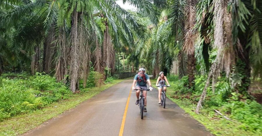 Krabi: Cycling Tour To Krabi - Pace, Breaks, and Heat Management