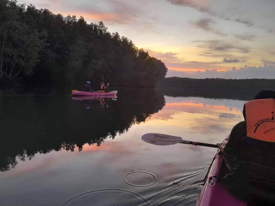 Krabi: Early bird kayak through Ao Thalane on private guide - Wildlife surprises (and how to handle them calmly)