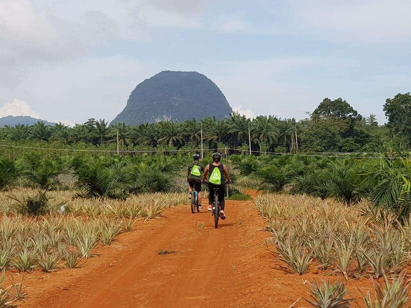 Krabi: Eco-Cycling Tour with Nature, Culture, and Fun - Eco-Cycling in Krabi: Why This Trip Feels Different