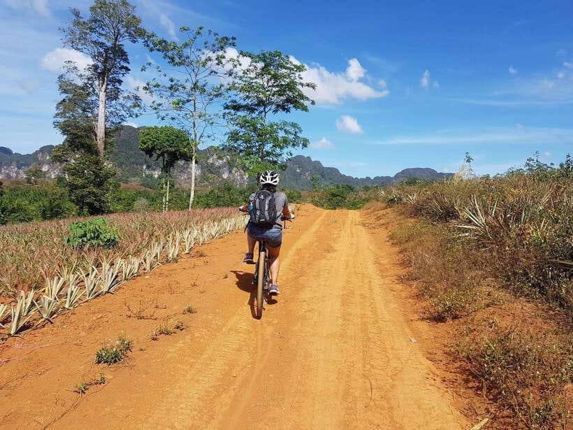 Krabi: Eco-Cycling Tour with Nature, Culture, and Fun - The Day’s Flow: Pickup, a 2-Hour Ride, and a Short Sightseeing Window