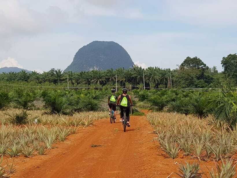 Krabi: Eco-Cycling Tour with Nature, Culture, and Fun - Price and Value Around $58: What You’re Really Paying For