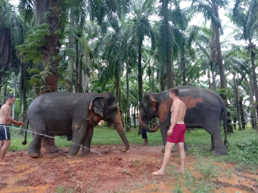 Krabi Elephant bathing and Atv adventure (30min/30min) - Key things to know before you go