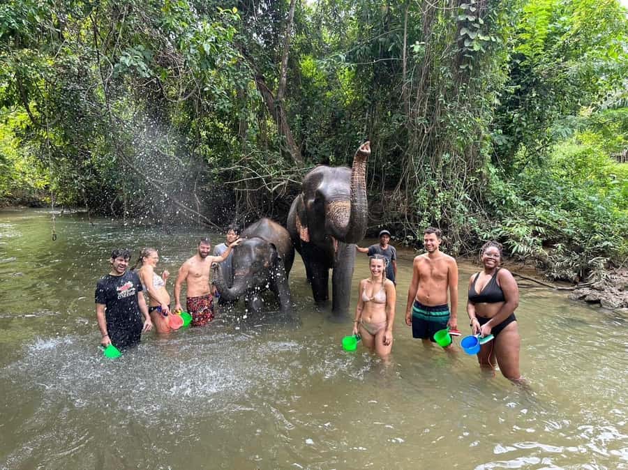 Krabi Elephant bathing and Atv adventure (30min/30min) - Elephant bathing in the jungle: mud, skin care, and real contact time