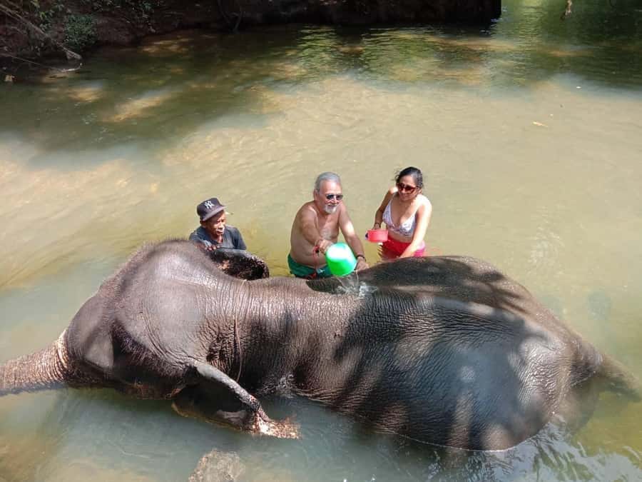 Krabi Elephant bathing and Atv adventure (30min/30min) - The 15-minute nature trail: how you get there and what it feels like