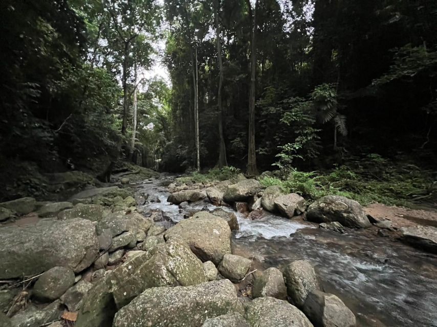 Krabi: Elephant Bathing and Huay Tho Waterfall Day Trip - Price and value: what you’re really paying for at $138