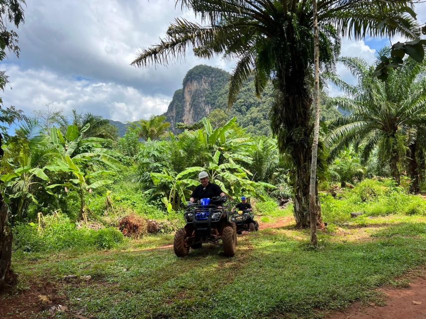 Krabi: Elephant Bathing and Huay Tho Waterfall Day Trip - Ao Nang Elephant Sanctuary and the mud-bath routine that actually makes sense