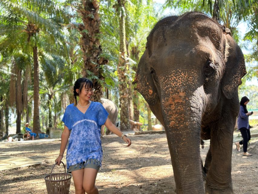 Krabi: Elephant Bathing Session at Krabi Elephant Shelter - Key things that make this session memorable