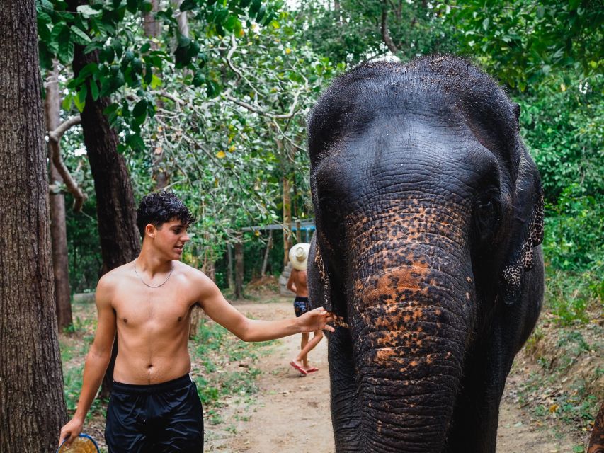 Krabi: Elephant Bathing Session at Krabi Elephant Shelter - The part people forget: how the day feels in the middle