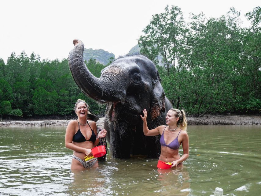 Krabi: Elephant Bathing Session at Krabi Elephant Shelter - Price and value: is $48 fair for Krabi