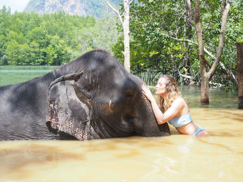 Krabi: Elephant Bathing Session at Krabi Elephant Shelter - What to bring: your short list for a smooth, wet day