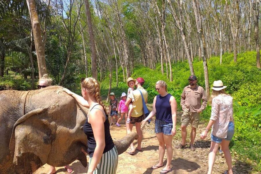 Krabi: Elephant Care House & 7-Level Huay Tho Waterfall Trip - Entering the Day: Krabi’s Elephant Care House by Phanom Bencha