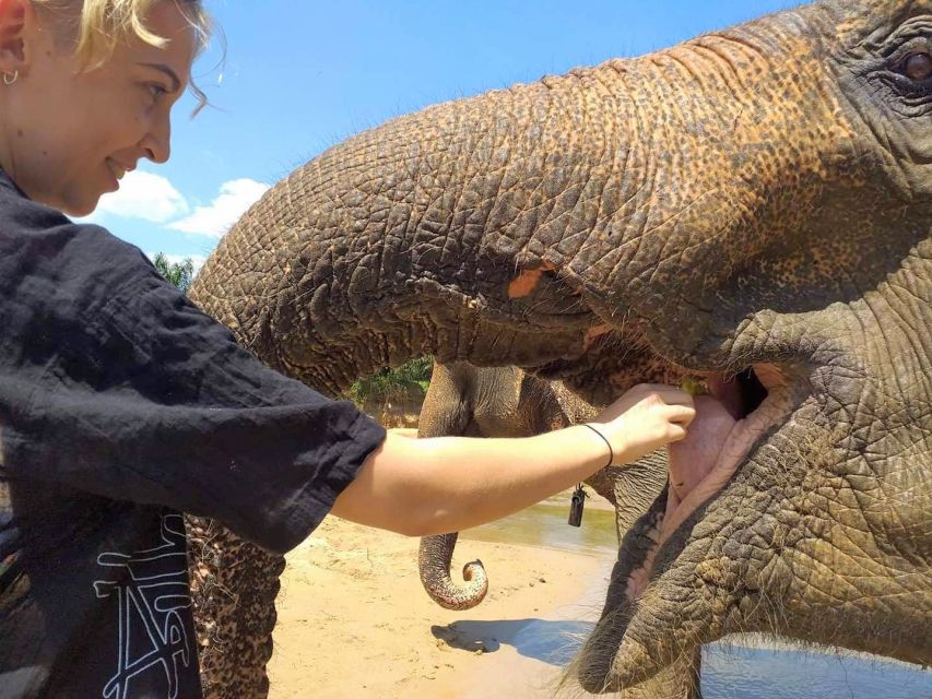 Krabi: Elephant Care House & 7-Level Huay Tho Waterfall Trip - Huay Tho Waterfall: The 7 Tiers and Where the Day Gets Scenic