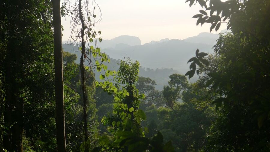Krabi: Elephant Care House & 7-Level Huay Tho Waterfall Trip - Swimming and Cooling Off: What to Expect at the Falls