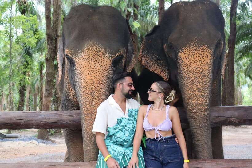 Krabi: Elephant Feeding Program - Your first moments: sanctuary check-in and behavior rules that matter