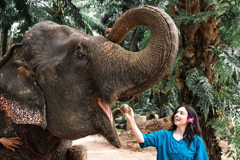 Krabi: Elephant Feeding Program - Preparing the fruit-and-more meal with caretakers (and protein balls)