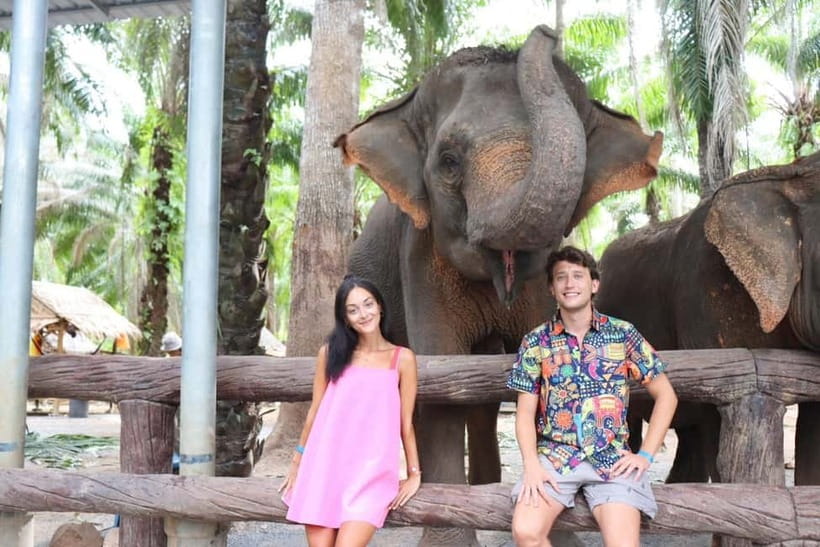 Krabi: Elephant Feeding Program with Food Preparation - The sanctuary element: what ethical elephant care looks like in practice