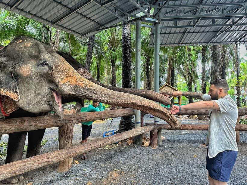 Krabi: Elephant Feeding Program - Getting there from Ao Nang and Klong Muang without adding stress