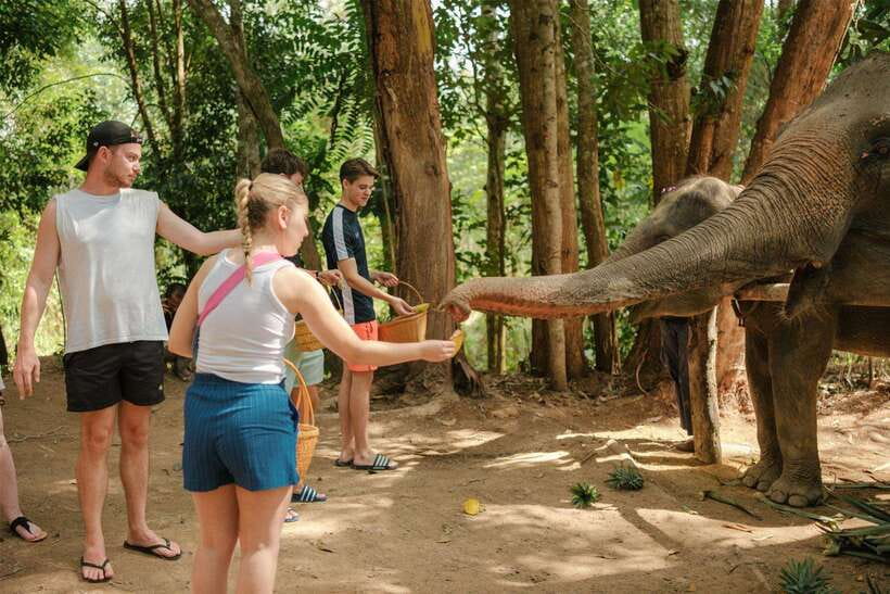 Krabi: Elephant Sanctuary (near Ao Nang) Visit - Elephant Sanctuary near Ao Nang: why this 30-minute visit works