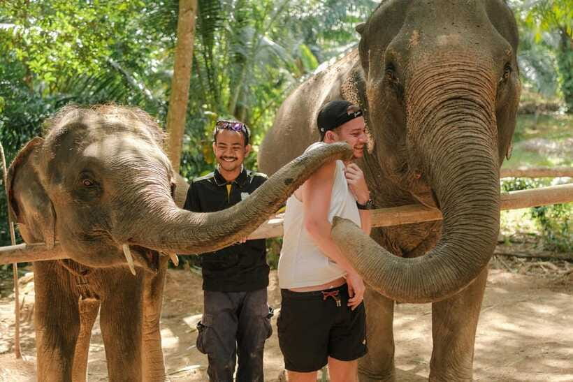 Krabi: Elephant Sanctuary (near Ao Nang) Visit - Feeding time with banana, pineapple, and sugarcane