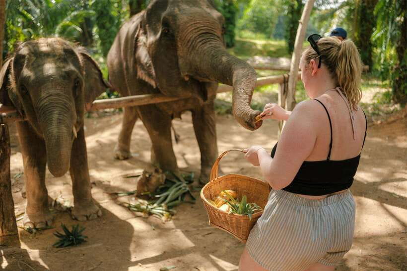 Krabi: Elephant Sanctuary (near Ao Nang) Visit - Ethics and elephant welfare signals to notice