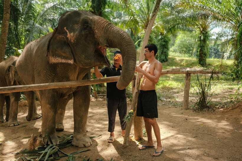 Krabi: Elephant Sanctuary (near Ao Nang) Visit - Who this is for, and who should skip it