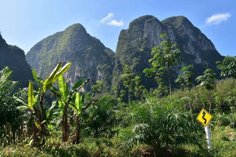Krabi: Emerald Cool-Down & Kayak Odyssey in Din Daeng Canyon - Monkey Beach, Mangroves, and Ko Ha: Variety Without the Long Wait
