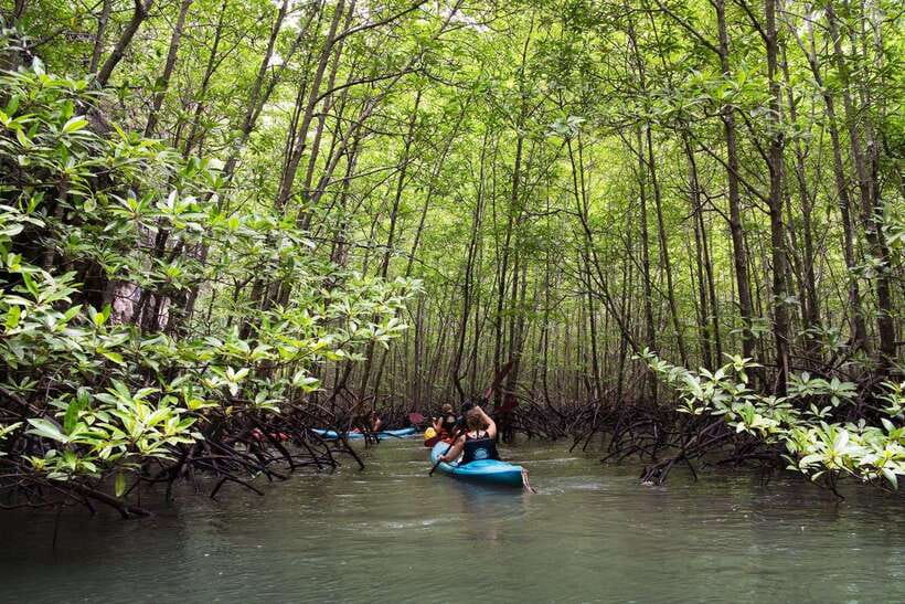 Krabi: Emerald Cool-Down & Kayak Odyssey in Din Daeng Canyon - Lunch at Ao Thalane Pier: Thai-Style Fuel in a Calm Setting
