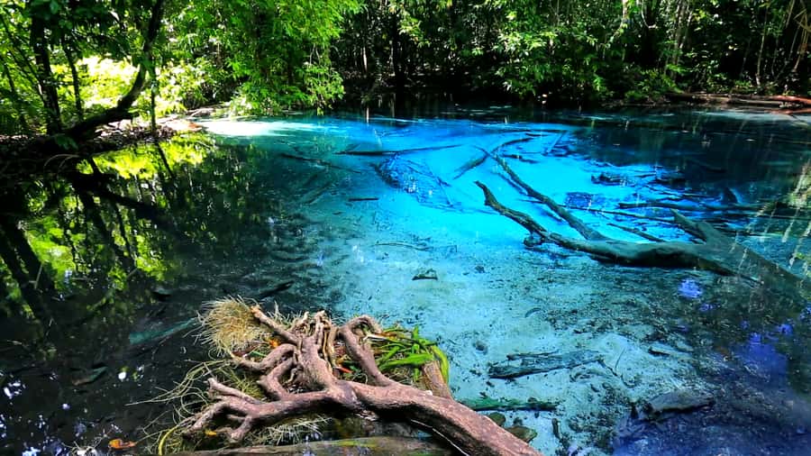 Krabi: Emerald Pool and Hot Spring Waterfall with ATV Riding - Key things to know before you go