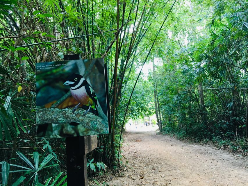 Krabi: Emerald Pool and Hot Springs Waterfall Half-Day Trip - Should You Book the Krabi Emerald Pool and Hot Springs Half-Day Trip?