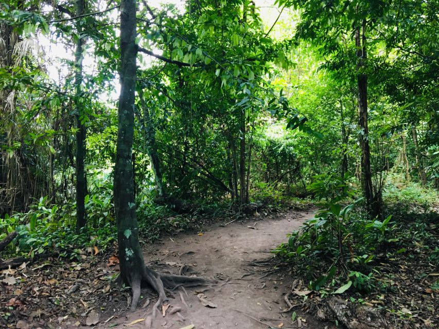 Krabi: Emerald Pool and Hot Springs Waterfall Half-Day Trip - A 5-Hour Nature Break That Mixes Water + Shade