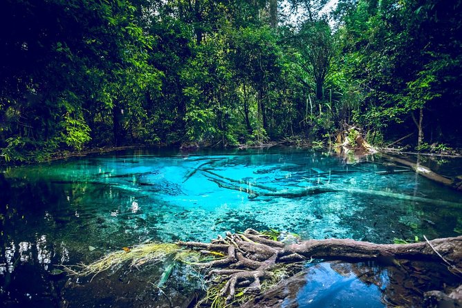 Krabi Emerald Pool, Hot Spring and Tiger Temple - Key points before you go