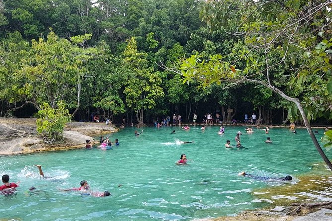 Krabi Emerald Pool, Hot Spring and Tiger Temple - Price and logistics: is $73.50 worth it?