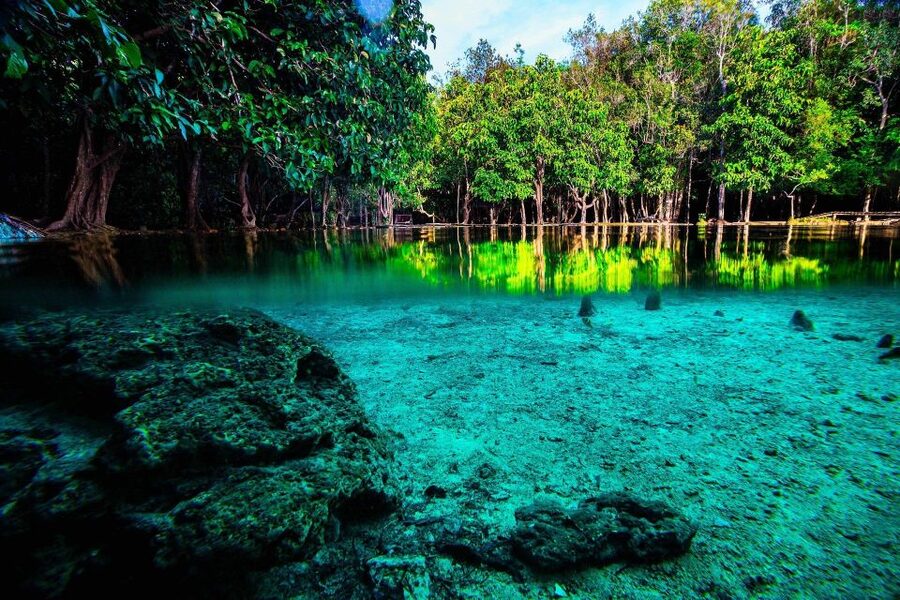 Krabi: Emerald Pool & Hot Spring Waterfall with Kayaking - Ao Thalane Kayaking: Mangrove Quiet Meets Limestone Canyons