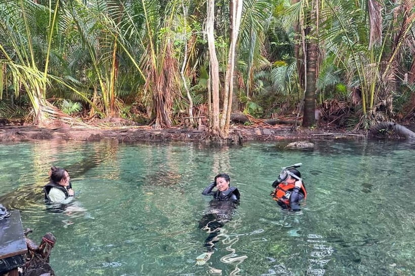 Krabi: Emerald Pool, Hot Springs, and Kayaking Tour - Price and logistics: the value math you should do first
