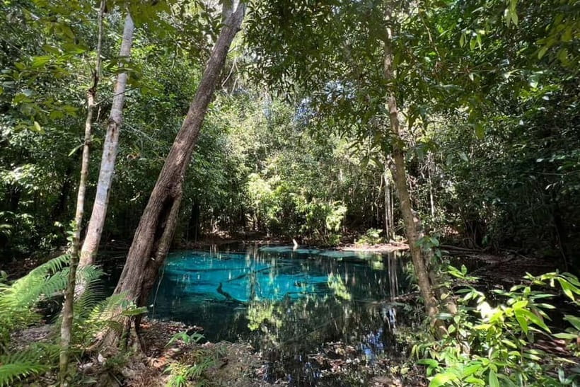Krabi: Emerald Pool, Hot Springs, and Kayaking Tour - Quick reality check: possible drawbacks to consider