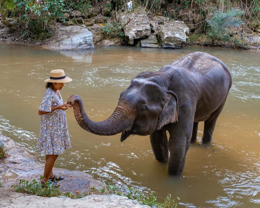 Krabi: Ethical Elephant Care Experience with Hotel Transfer - What to bring (so your day stays comfortable)