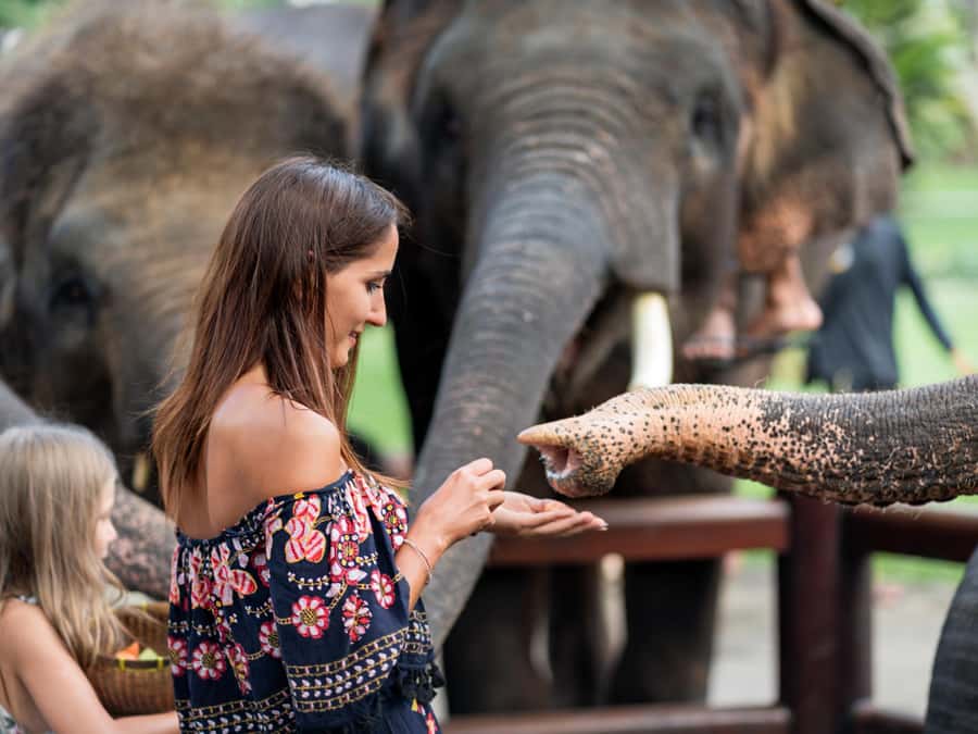 Krabi: Ethical Elephant Care Experience with Hotel Transfer - Krabi Elephant Care House: what the $67 price buys you