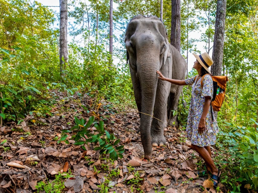 Krabi: Ethical Elephant Care Experience with Hotel Transfer - Mud bath support: why rolling matters for elephant skin