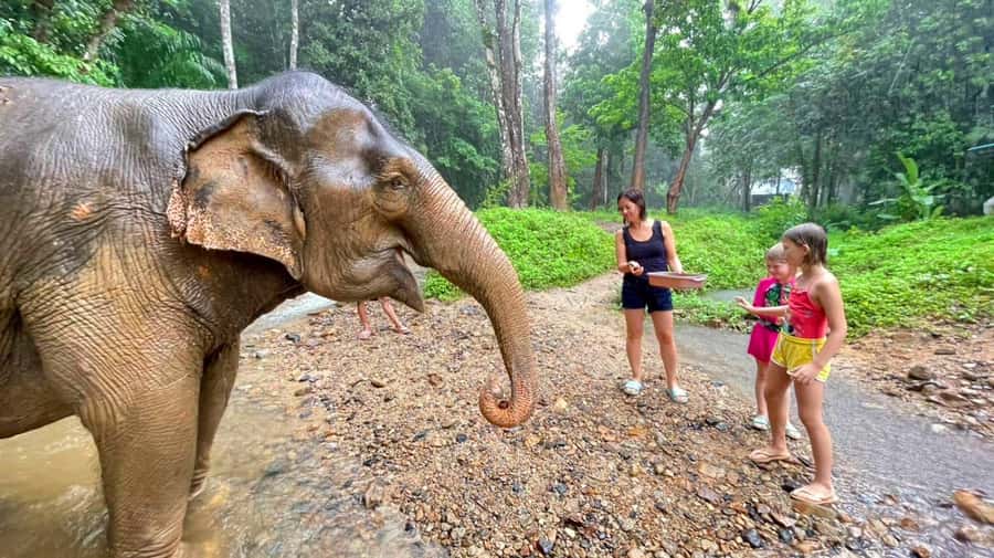 Krabi: Ethical Elephant Care Experience with Hotel Transfer - Bathing with water: gentle, refreshing, and behavior-based