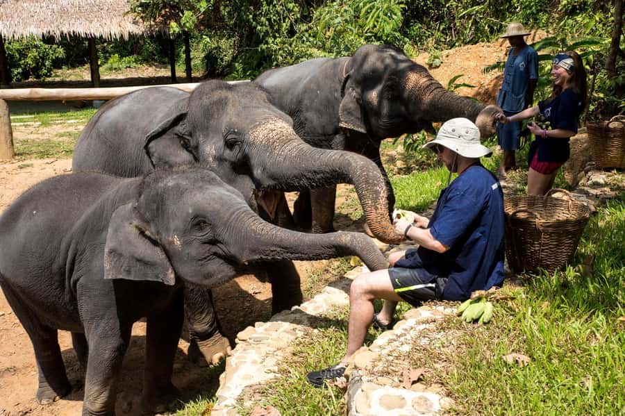 Krabi: Ethical Elephant Sanctuary Experience - Arrival and safety: caretaker routine, a health-check demo, and what you wear